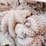 Octopus in Venice