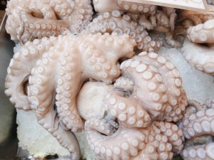 Octopus