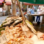 Shopping at the market for lunch