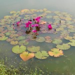 P1090046